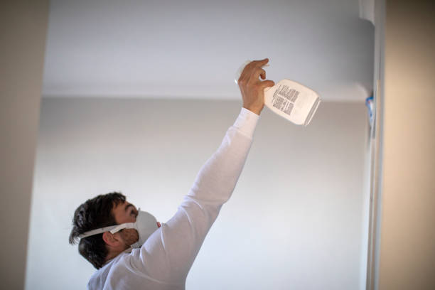 Best Residential Mold Removal  in Postville, IA