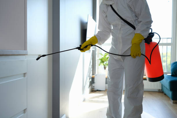 Best Mold Remediation Services  in Postville, IA